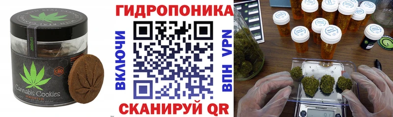 Canna-Cookies конопля  Советск 
